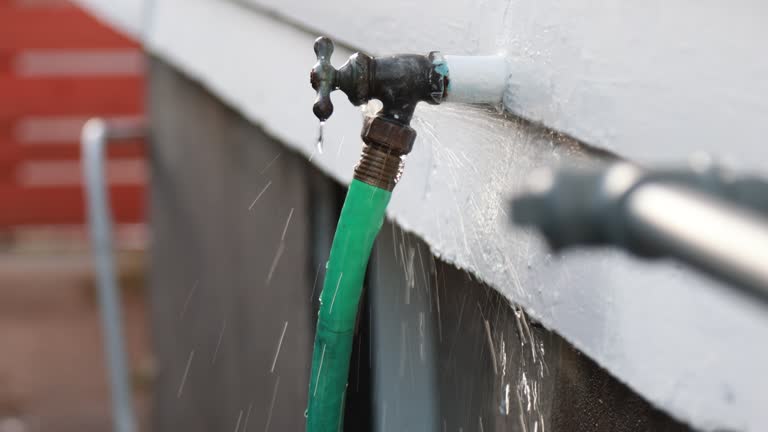 Best Shed Removal  in Silt, CO